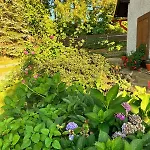 Tatil Evi Hamlicka Chaloupka Na Samote Kdyně